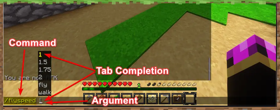 Minecraft Command Example